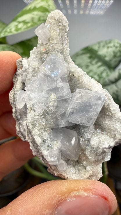 Celestine, Calcite- Meckley's Quarry, Mandata, Northumberland County, Pennsylvania, USA