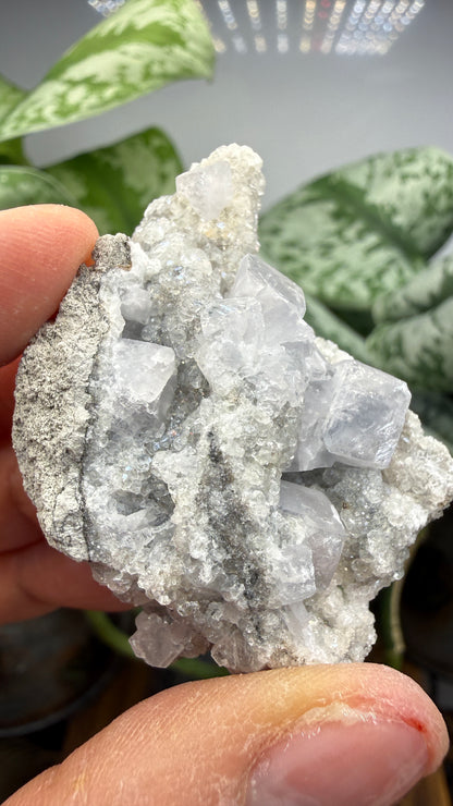 Celestine, Calcite- Meckley's Quarry, Mandata, Northumberland County, Pennsylvania, USA