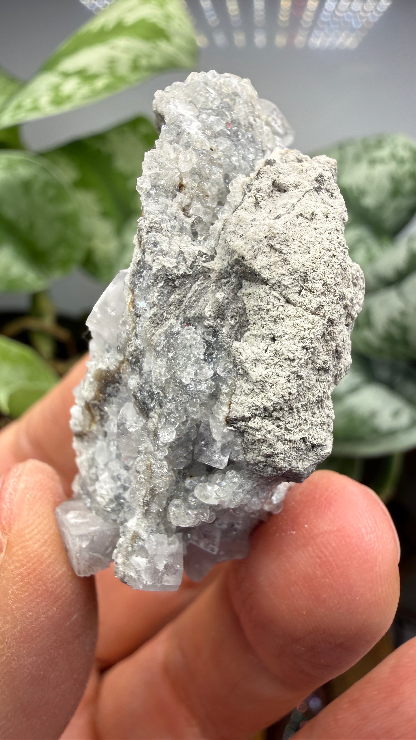 Celestine, Calcite- Meckley's Quarry, Mandata, Northumberland County, Pennsylvania, USA