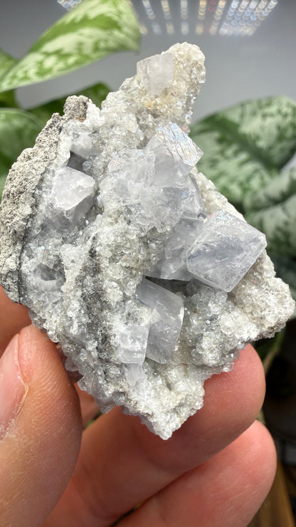 Celestine, Calcite- Meckley's Quarry, Mandata, Northumberland County, Pennsylvania, USA