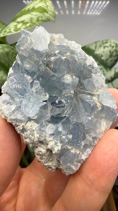 Celestine (Celestite) Geode/Cluster- Madagascar