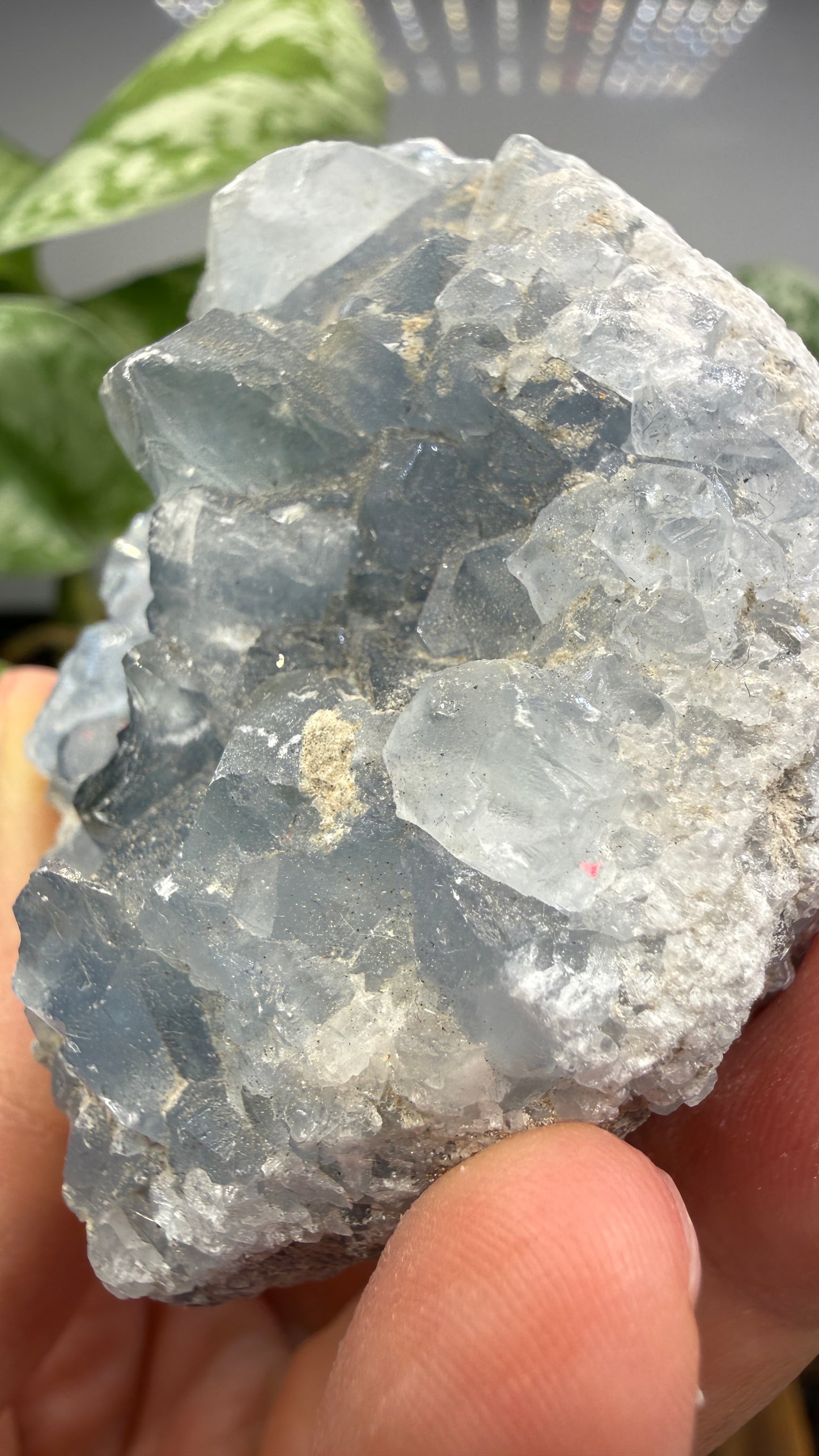 Celestine (Celestite) Geode/Cluster- Madagascar