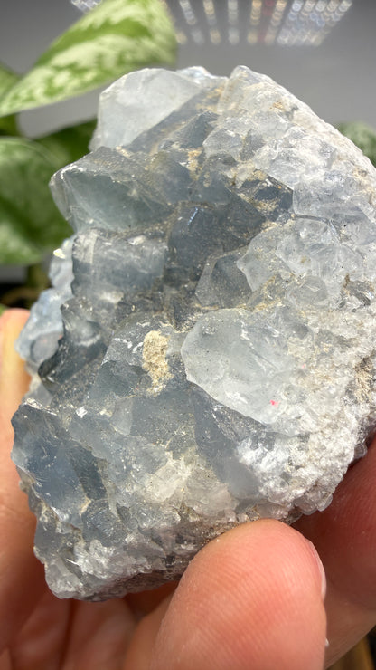 Celestine (Celestite) Geode/Cluster- Madagascar