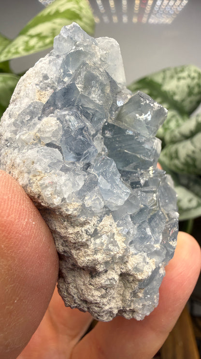 Celestine (Celestite) Geode/Cluster- Madagascar