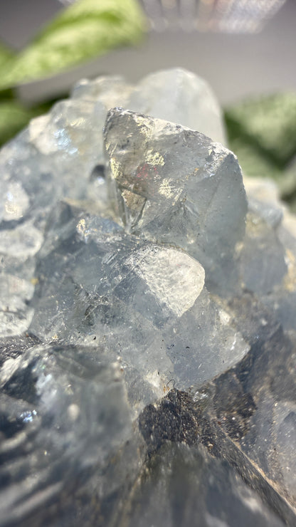 Celestine (Celestite) Geode/Cluster- Madagascar