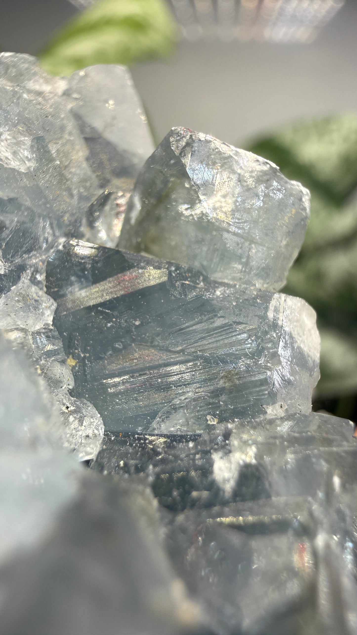 Celestine (Celestite) Geode/Cluster- Madagascar