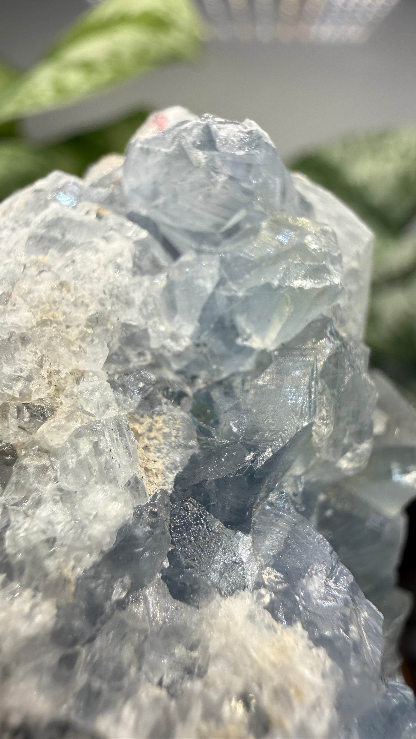Celestine (Celestite) Geode/Cluster- Madagascar
