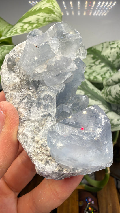 Celestine (Celestite) Geode/Cluster- Madagascar