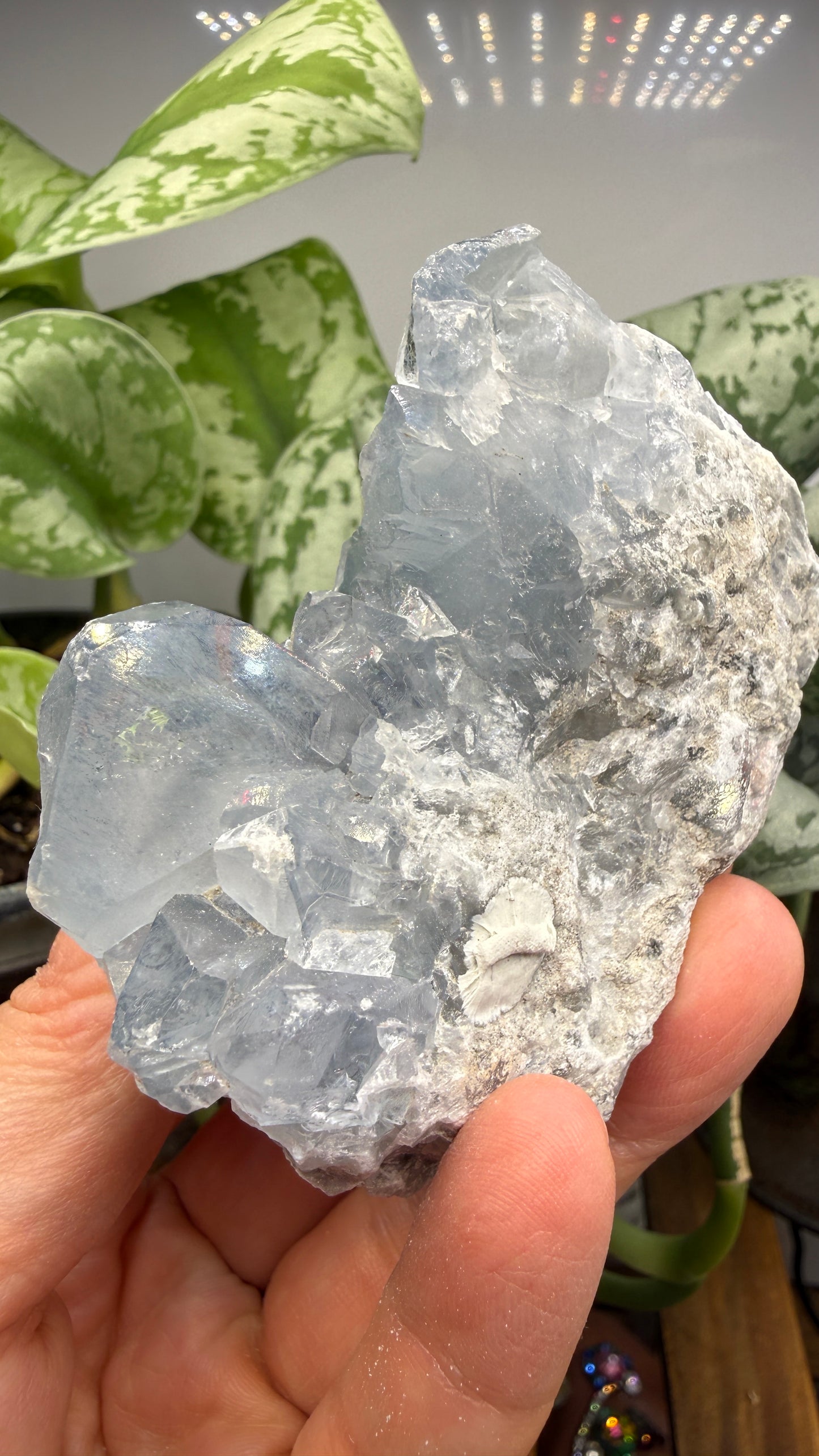 Celestine (Celestite) Geode/Cluster- Madagascar