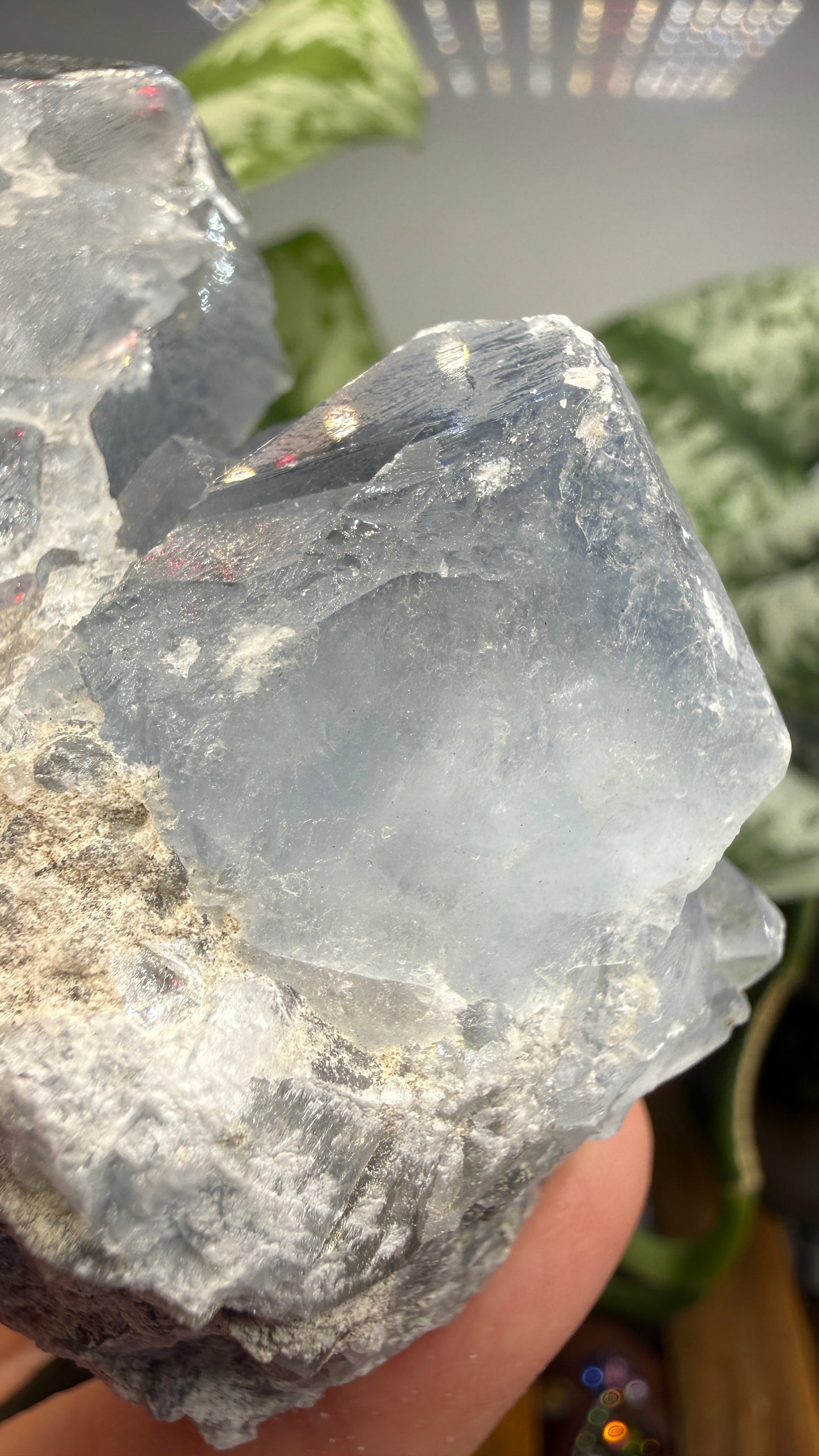 Celestine (Celestite) Geode/Cluster- Madagascar