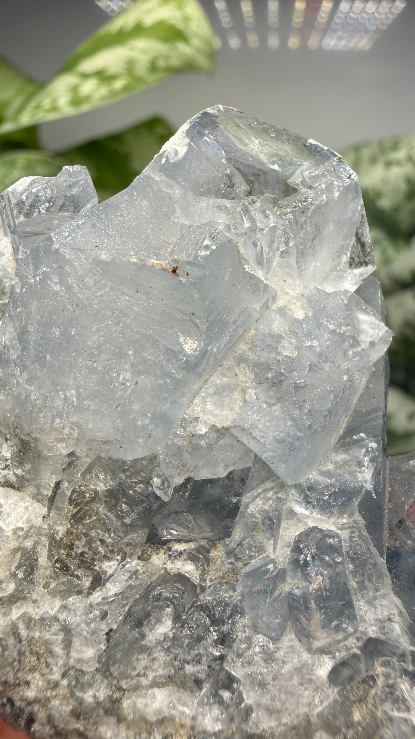 Celestine (Celestite) Geode/Cluster- Madagascar