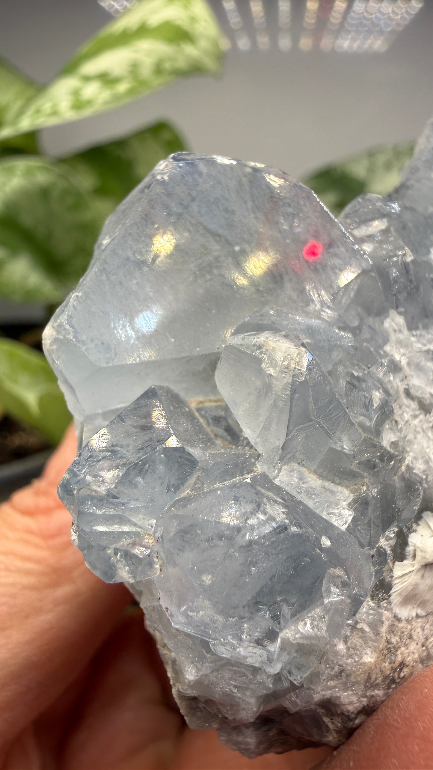 Celestine (Celestite) Geode/Cluster- Madagascar