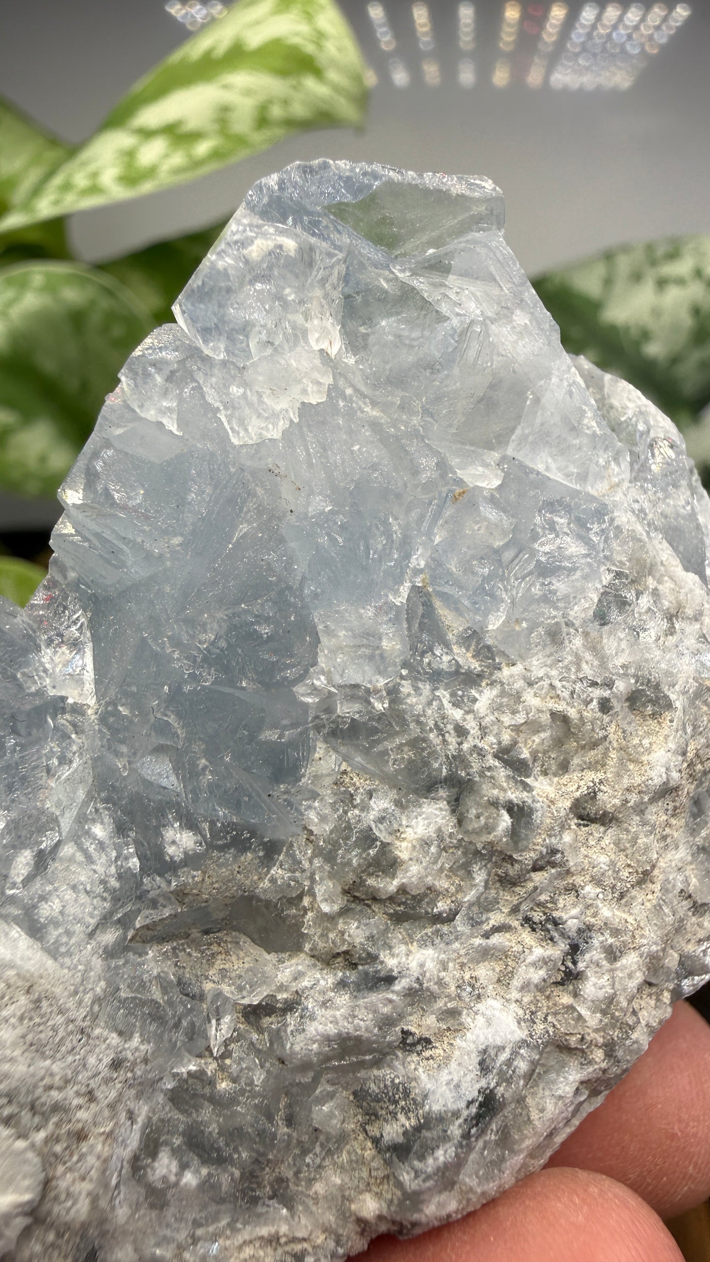 Celestine (Celestite) Geode/Cluster- Madagascar