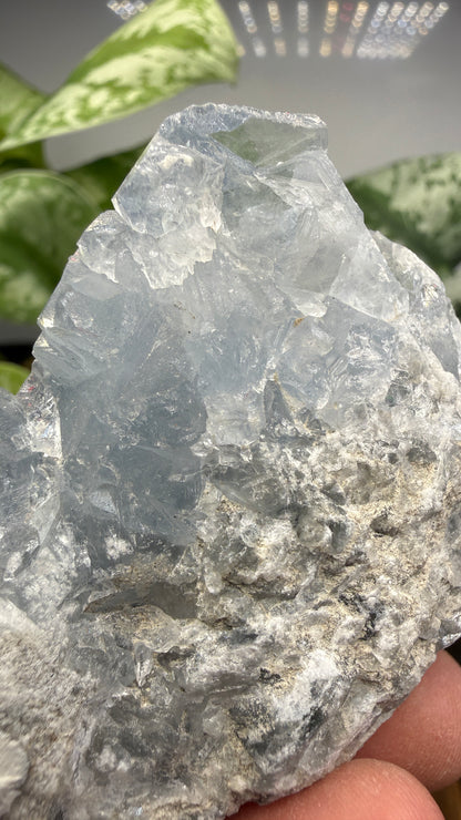 Celestine (Celestite) Geode/Cluster- Madagascar