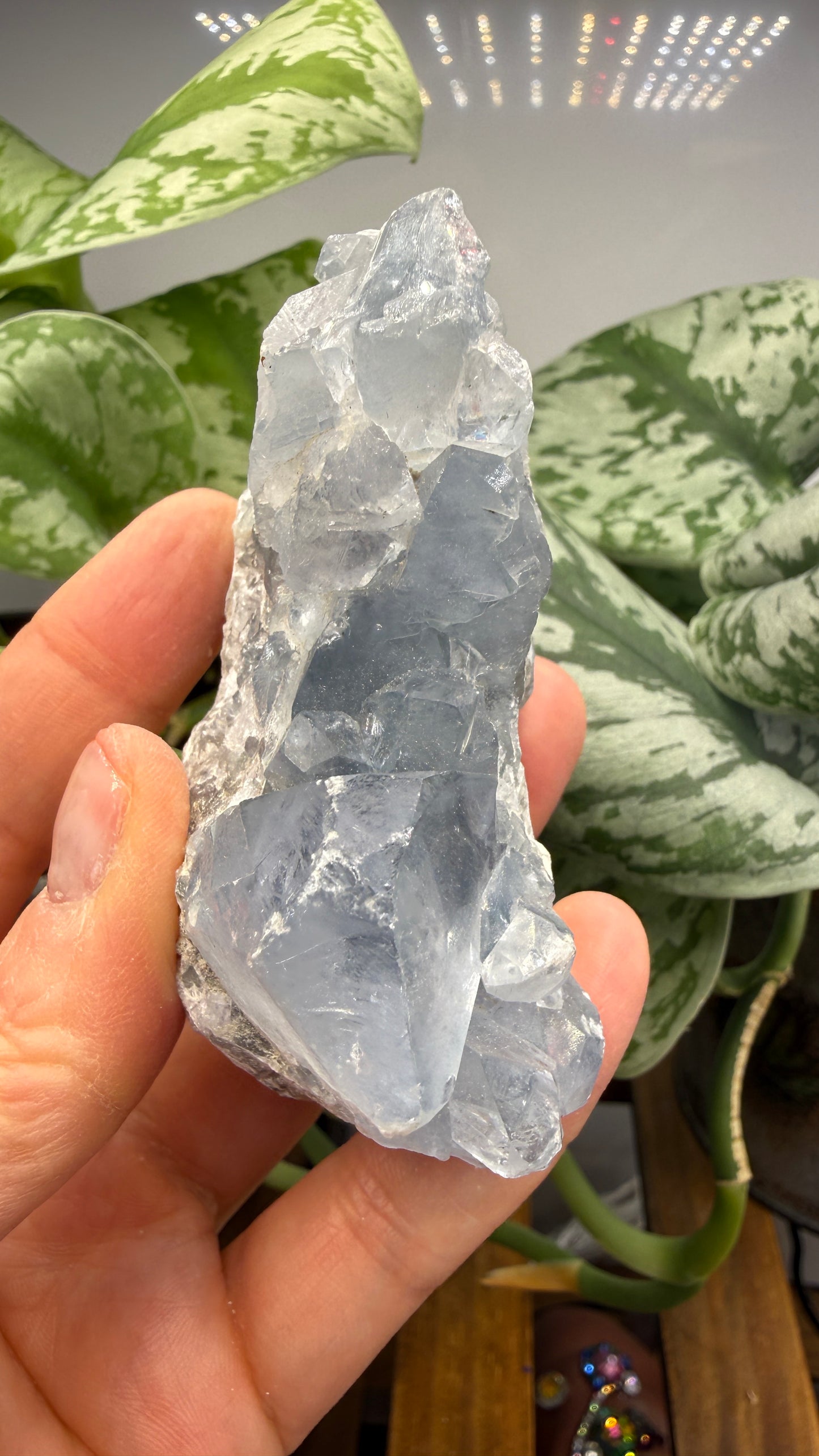 Celestine (Celestite) Geode/Cluster- Madagascar