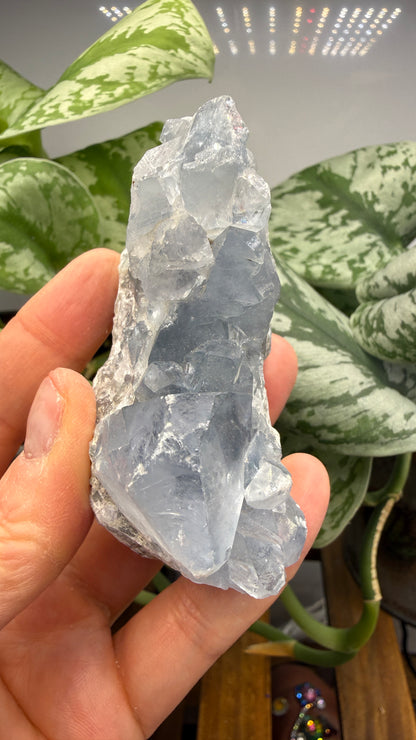 Celestine (Celestite) Geode/Cluster- Madagascar