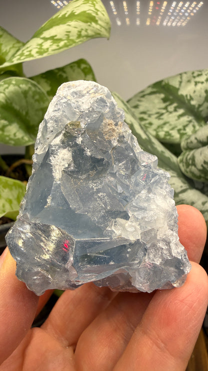 Celestine (Celestite) Geode/Cluster- Madagascar