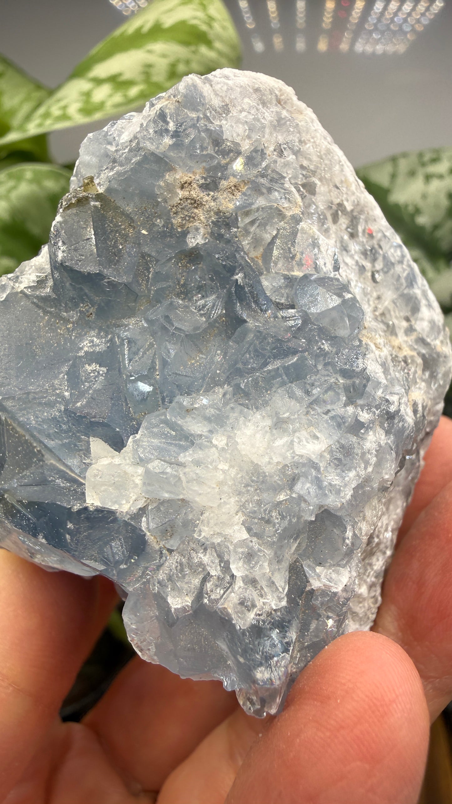 Celestine (Celestite) Geode/Cluster- Madagascar