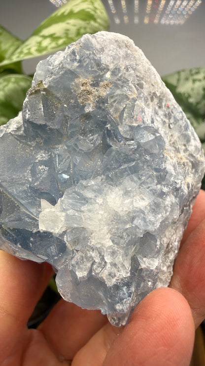 Celestine (Celestite) Geode/Cluster- Madagascar