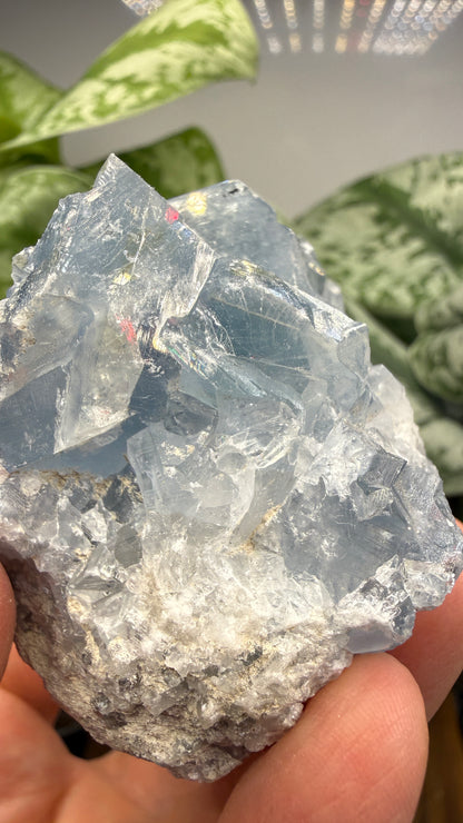 Celestine (Celestite) Geode/Cluster- Madagascar