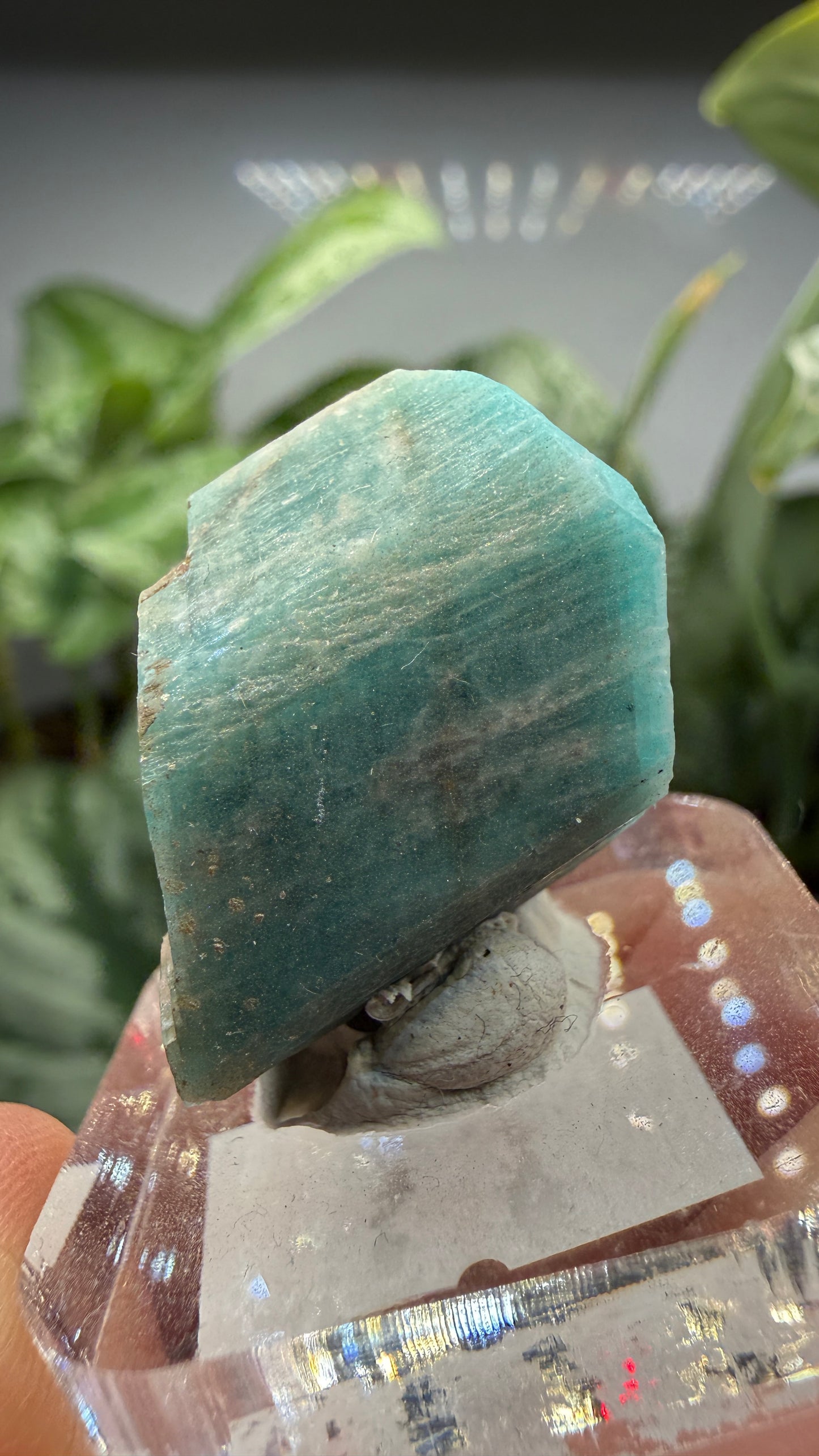 Amazonite- Lake George area, Pikes Peak, Teller County, Colorado, USA