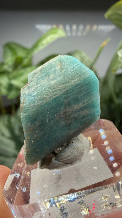 Amazonite- Lake George area, Pikes Peak, Teller County, Colorado, USA