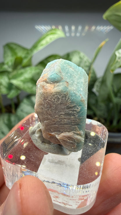 Amazonite- Lake George area, Pikes Peak, Teller County, Colorado, USA