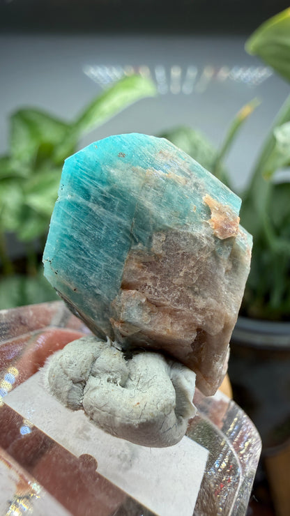 Amazonite- Lake George area, Pikes Peak, Teller County, Colorado, USA