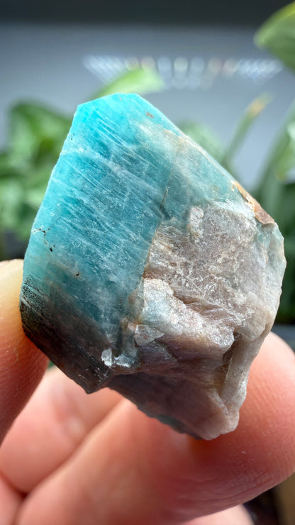 Amazonite- Lake George area, Pikes Peak, Teller County, Colorado, USA