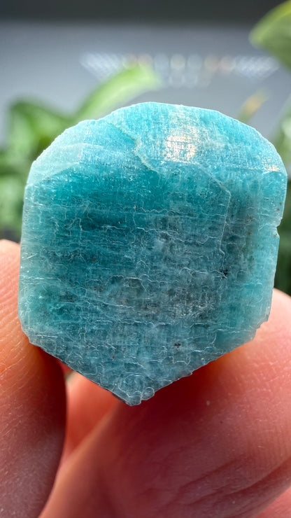 Amazonite- Lake George area, Pikes Peak, Teller County, Colorado, USA