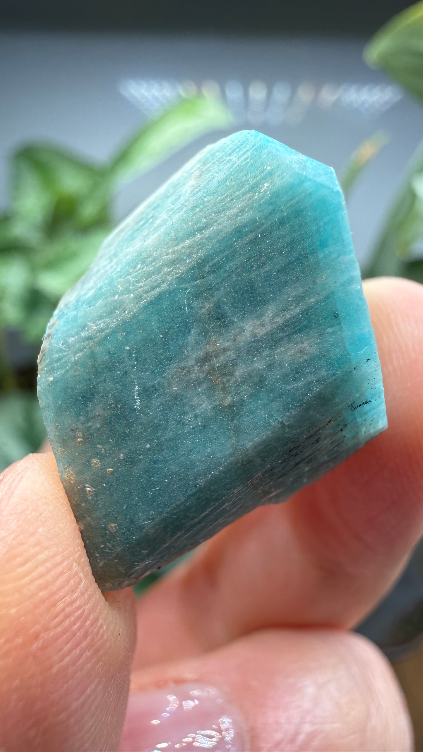Amazonite- Lake George area, Pikes Peak, Teller County, Colorado, USA