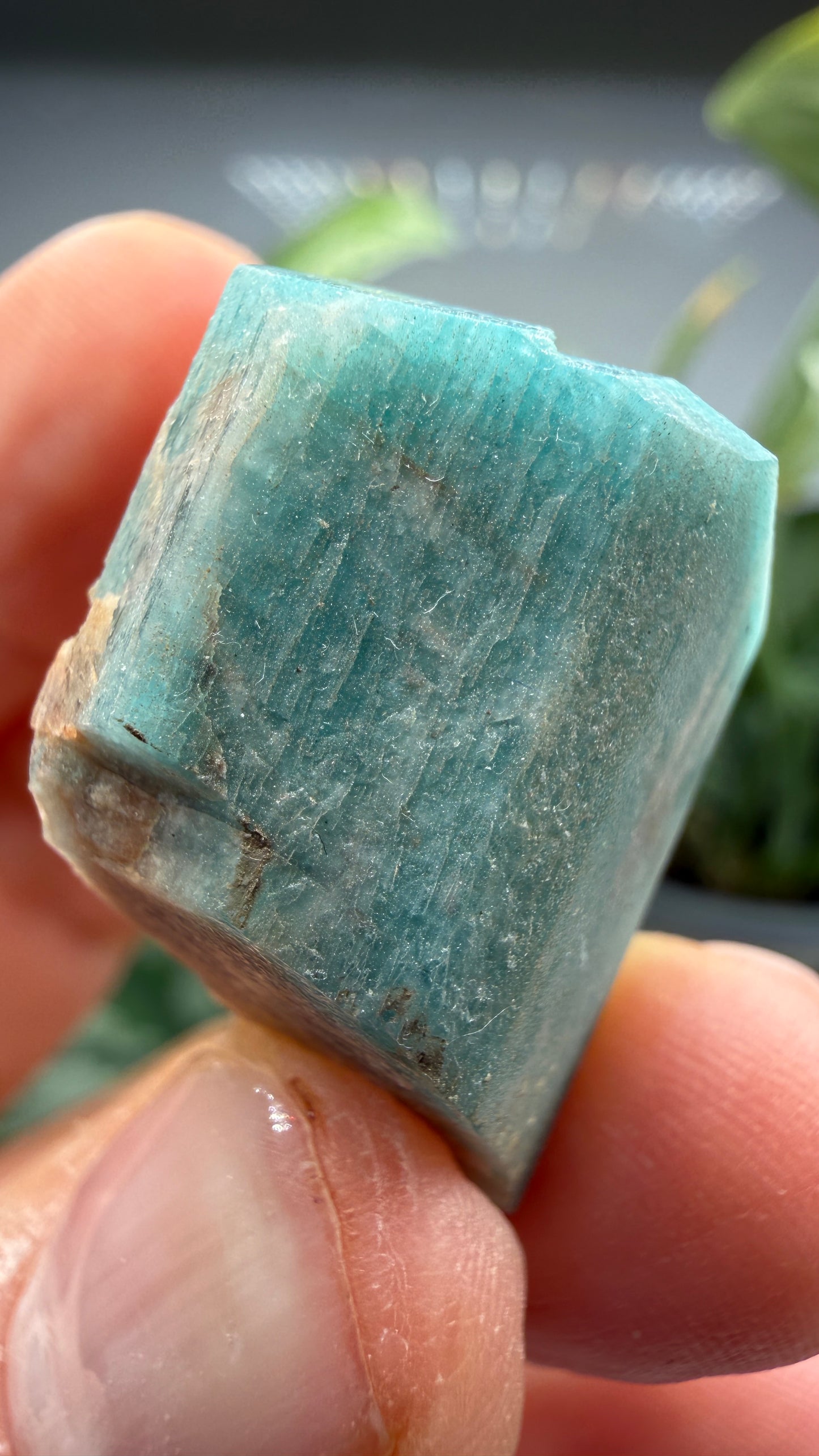 Amazonite- Lake George area, Pikes Peak, Teller County, Colorado, USA