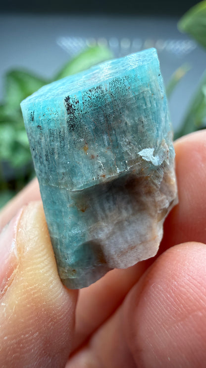 Amazonite- Lake George area, Pikes Peak, Teller County, Colorado, USA