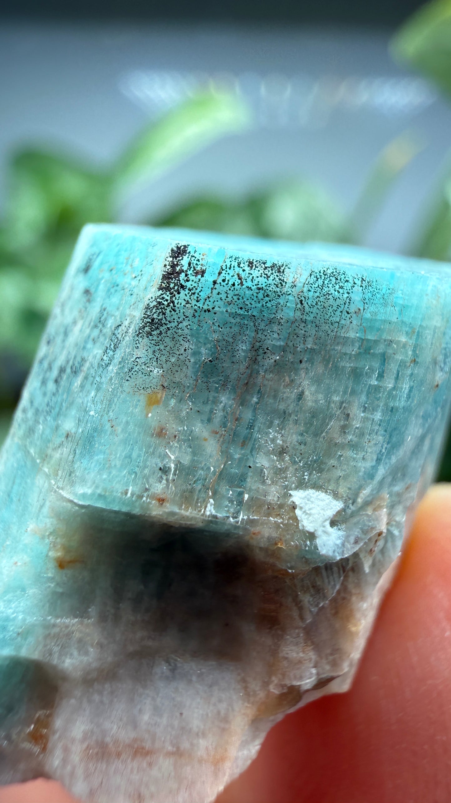 Amazonite- Lake George area, Pikes Peak, Teller County, Colorado, USA