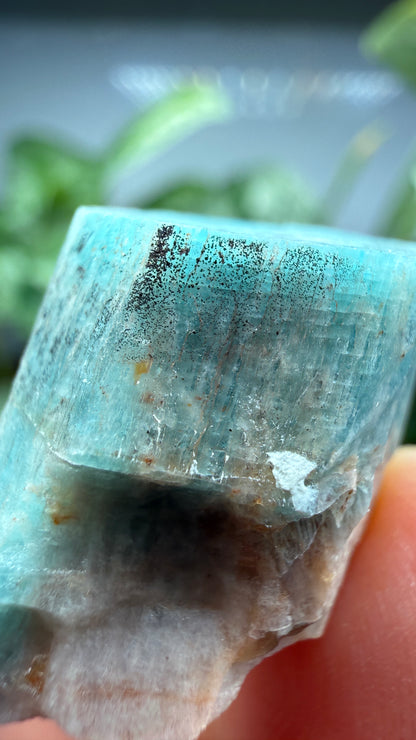 Amazonite- Lake George area, Pikes Peak, Teller County, Colorado, USA