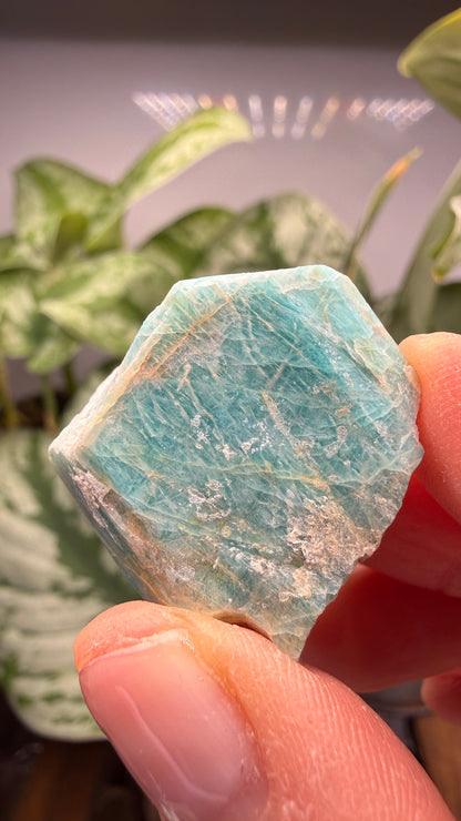 Amazonite- Lake George area, Pikes Peak, Teller County, Colorado, USA