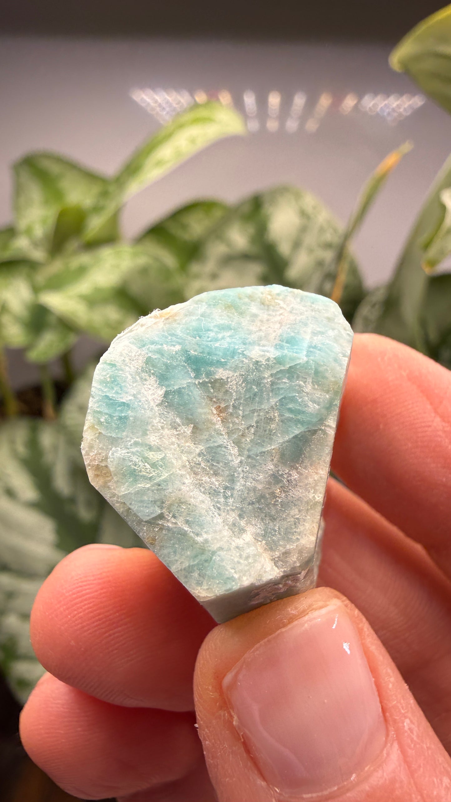 Amazonite- Lake George area, Pikes Peak, Teller County, Colorado, USA