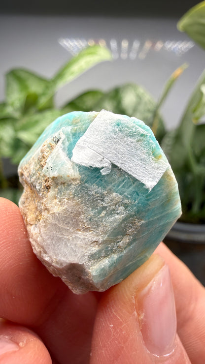 Amazonite- Lake George area, Pikes Peak, Teller County, Colorado, USA