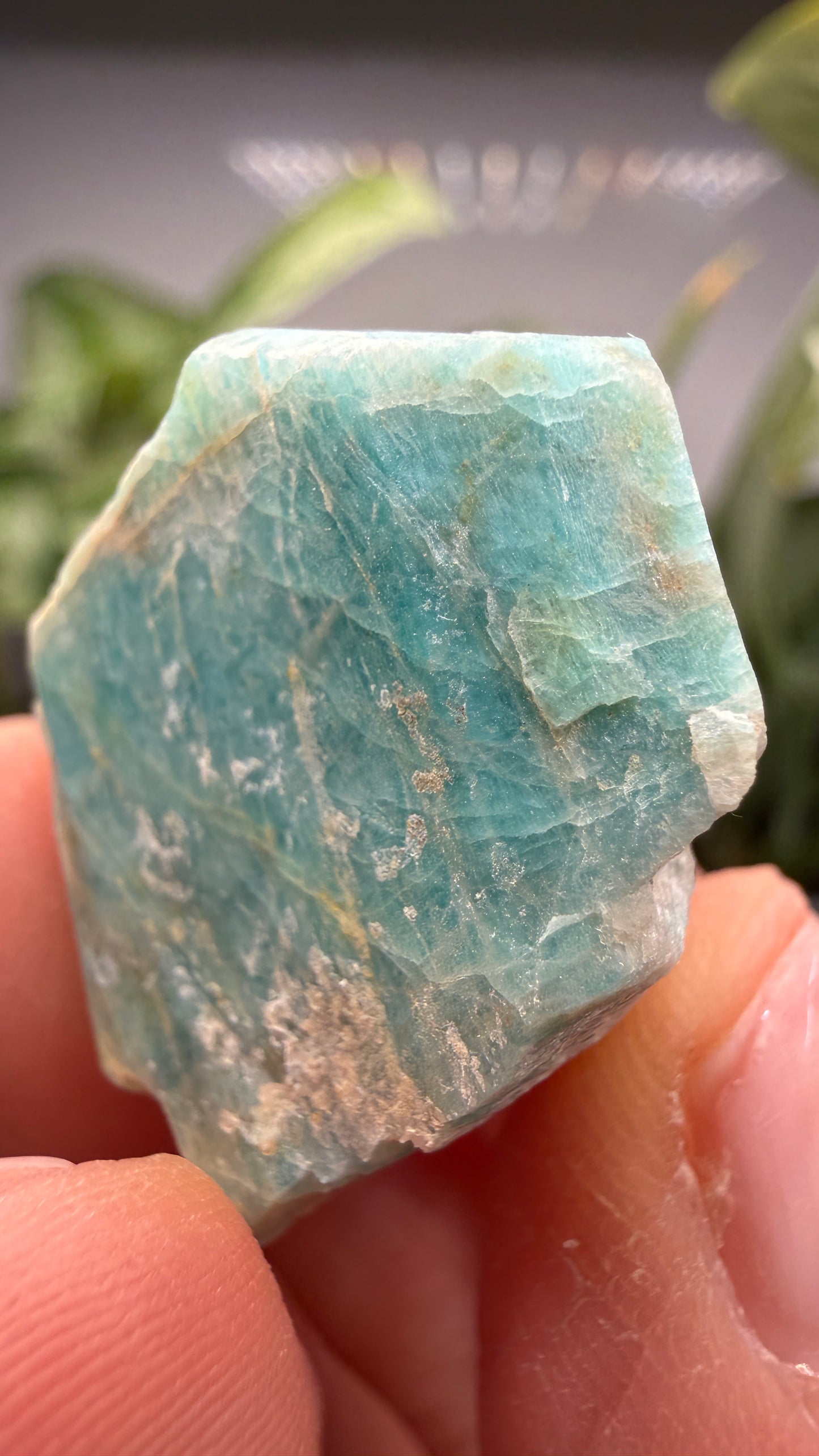 Amazonite- Lake George area, Pikes Peak, Teller County, Colorado, USA