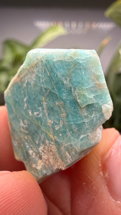 Amazonite- Lake George area, Pikes Peak, Teller County, Colorado, USA