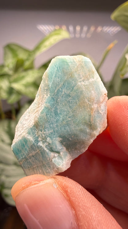 Amazonite- Lake George area, Pikes Peak, Teller County, Colorado, USA