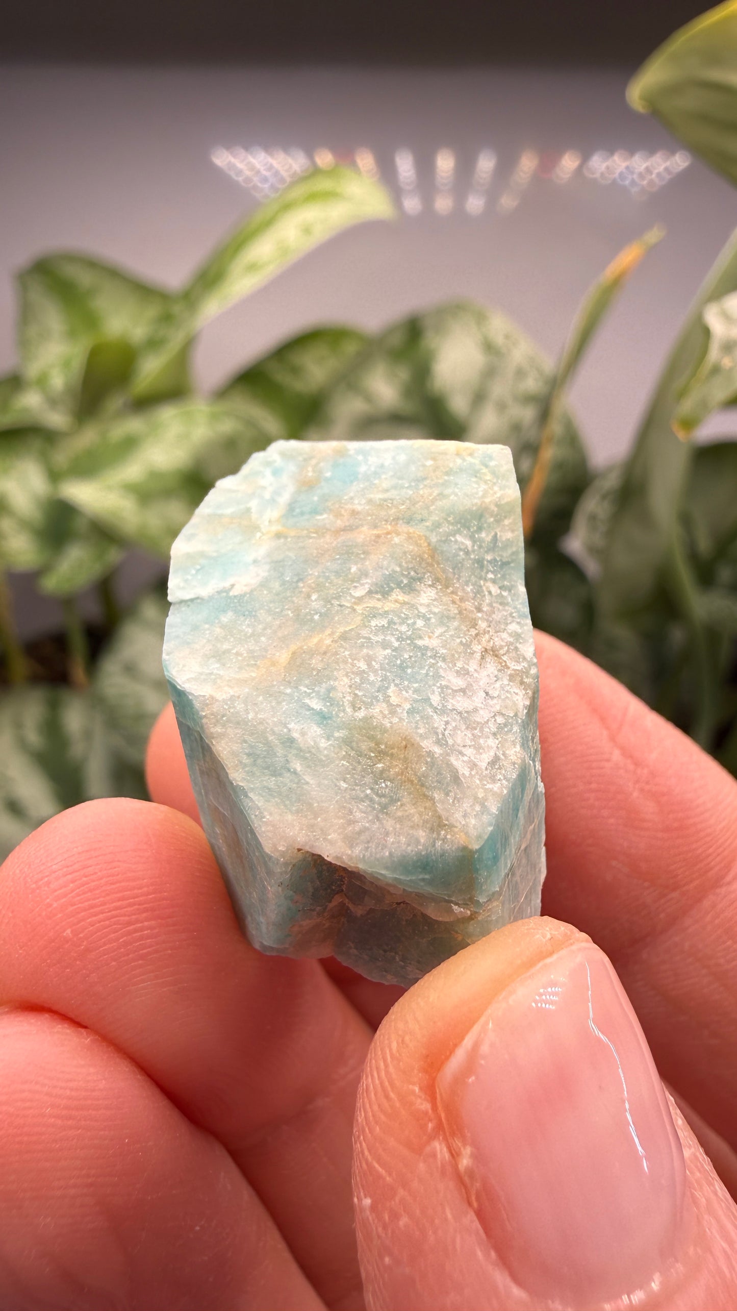 Amazonite- Lake George area, Pikes Peak, Teller County, Colorado, USA