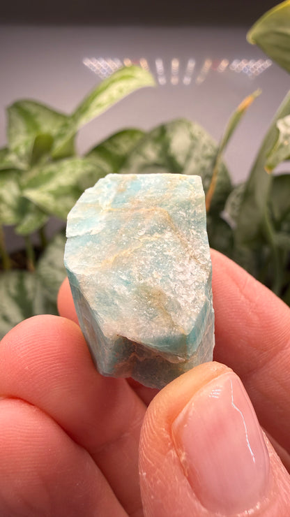 Amazonite- Lake George area, Pikes Peak, Teller County, Colorado, USA