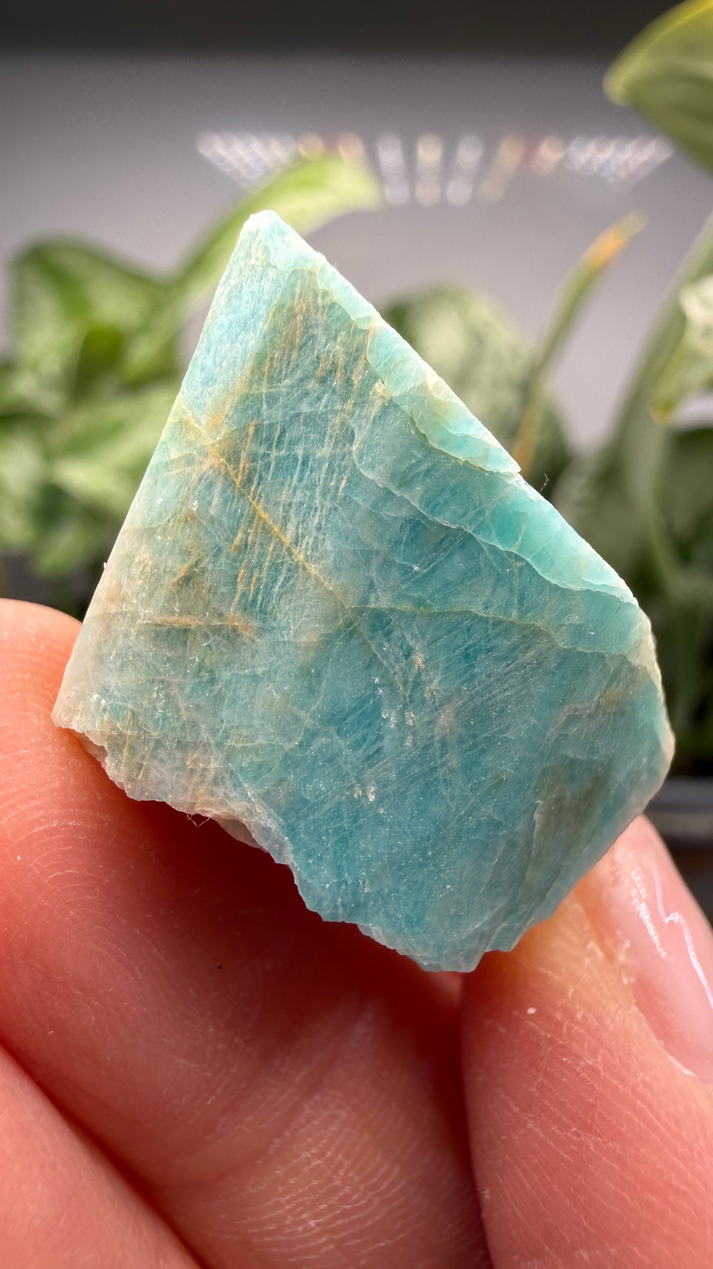 Amazonite- Lake George area, Pikes Peak, Teller County, Colorado, USA