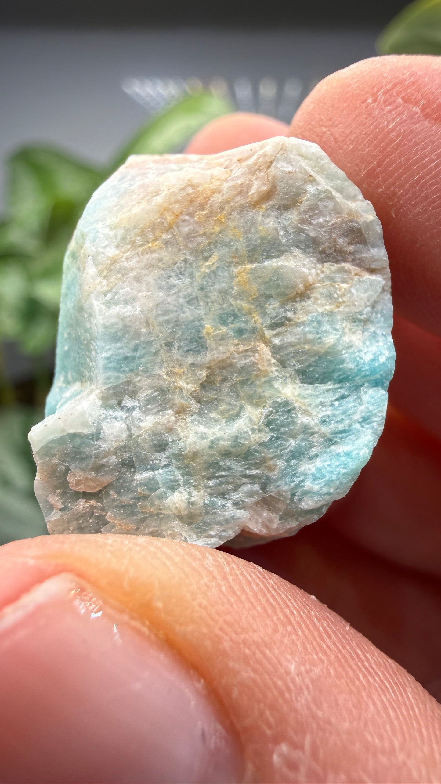Amazonite- Lake George area, Pikes Peak, Teller County, Colorado, USA