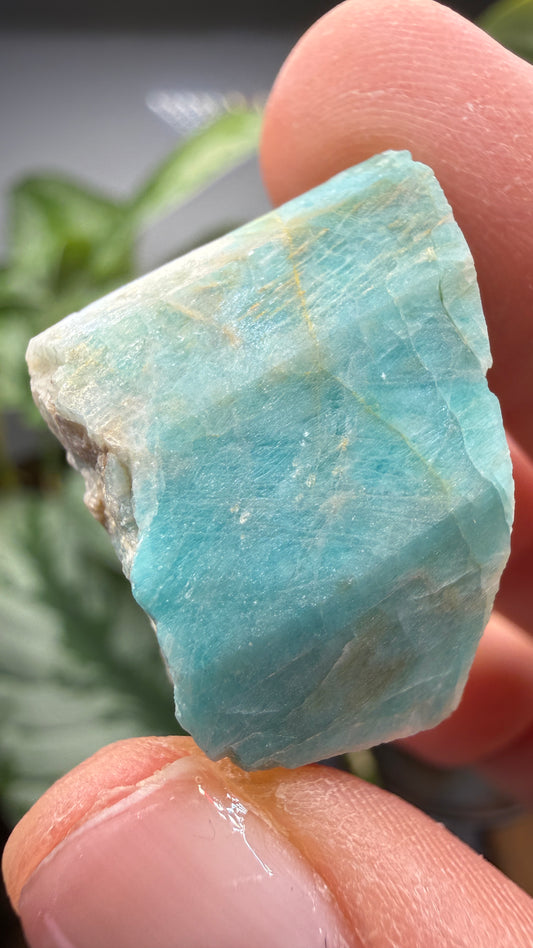 Amazonite- Lake George area, Pikes Peak, Teller County, Colorado, USA