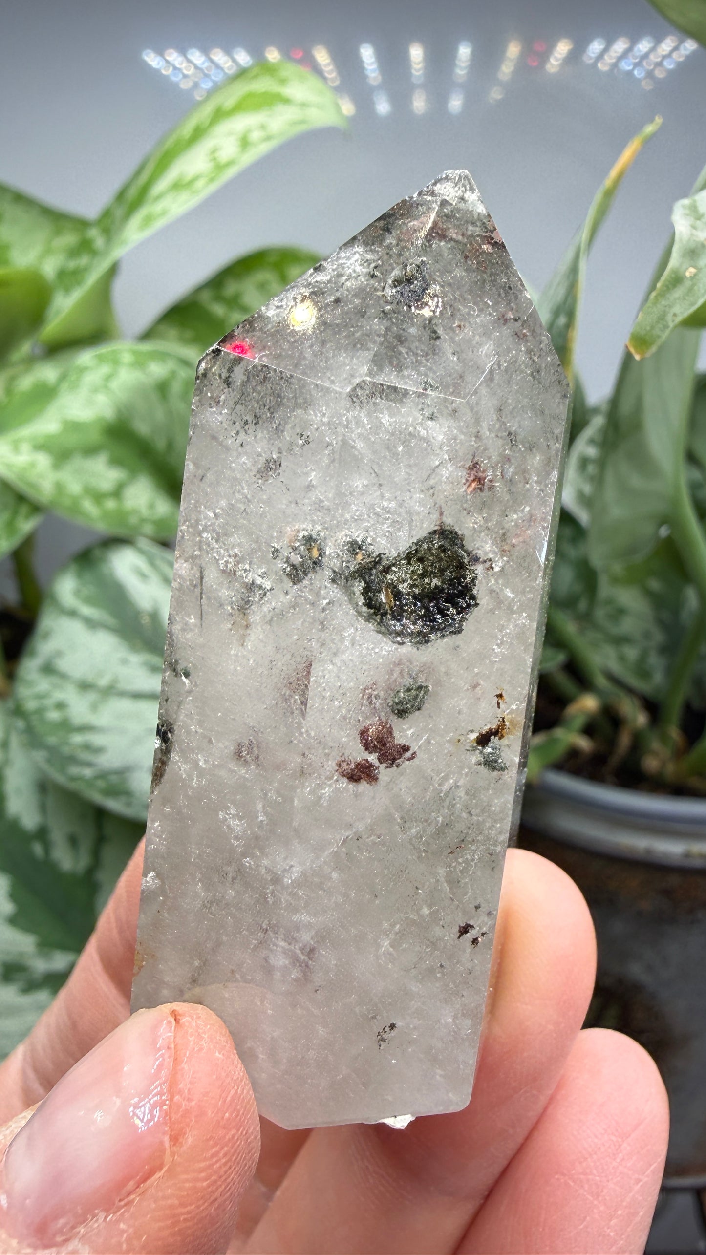 Garden Quartz/Lodolite Point- 2.25" inches tall