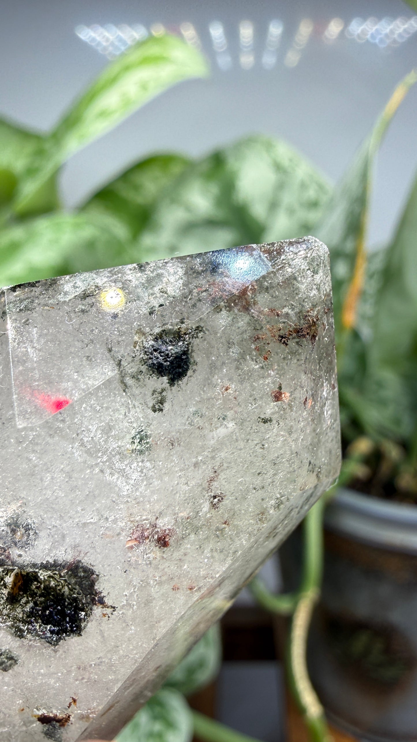Garden Quartz/Lodolite Point- 2.25" inches tall