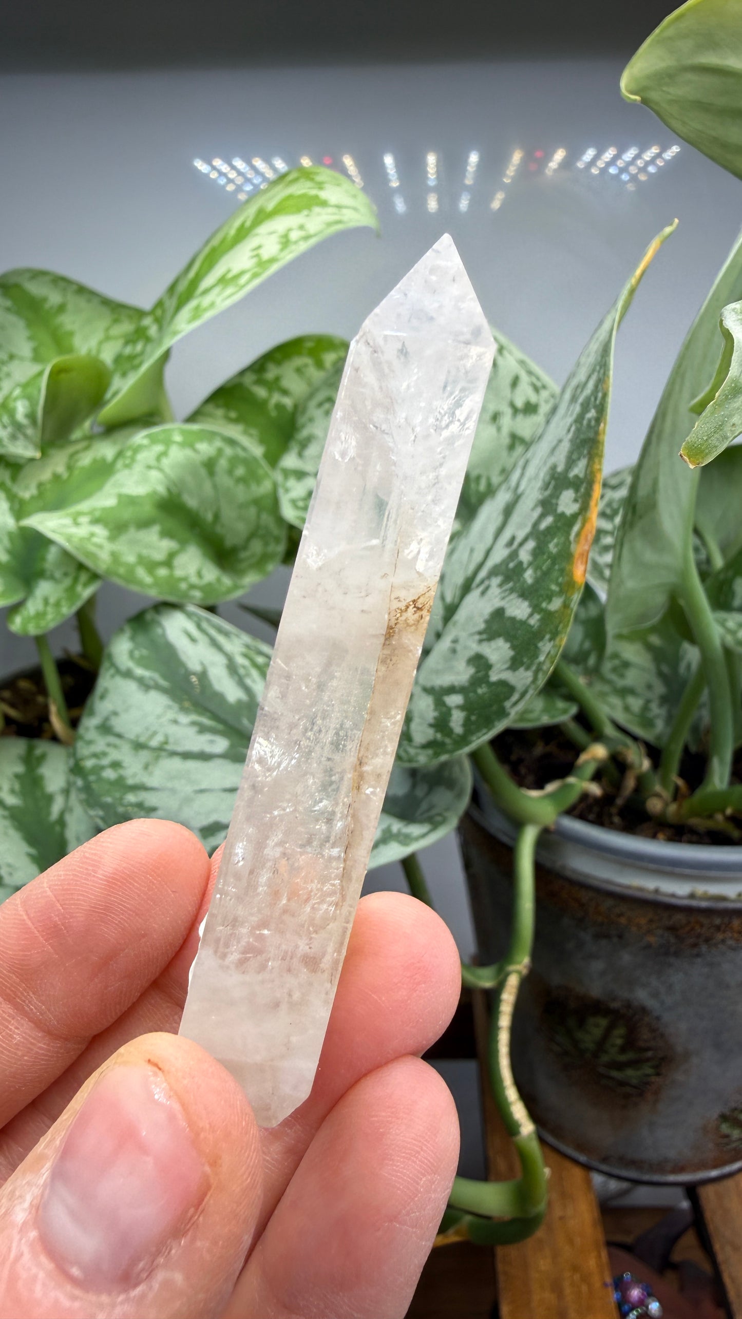 Garden Quartz/Lodolite Point- 2.625" inches tall- DENDRITES!