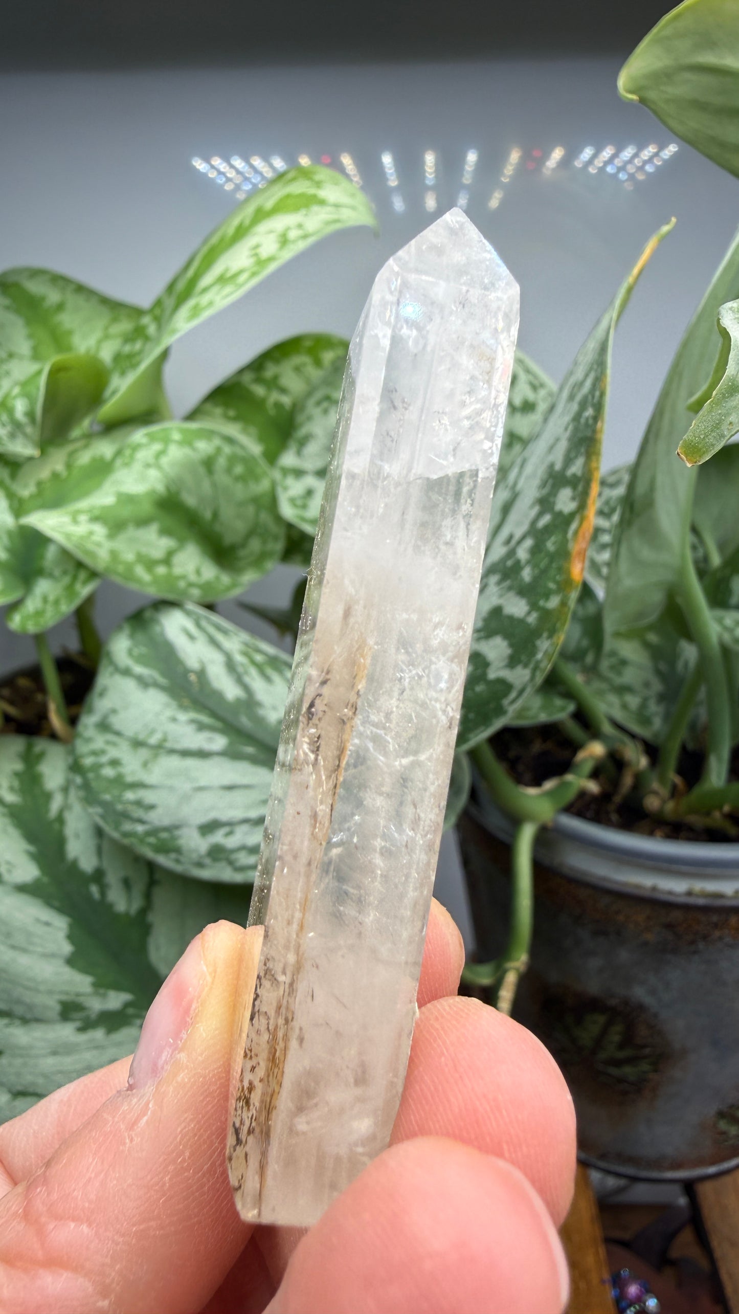 Garden Quartz/Lodolite Point- 2.625" inches tall- DENDRITES!
